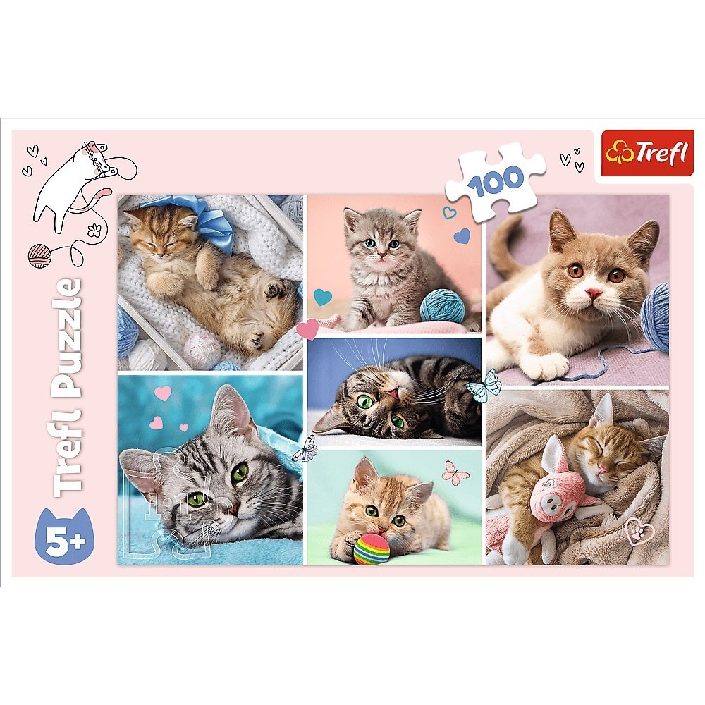 PUZZLE 100 ELEMENTS IN THE CAT'S WORLD TREFL 16420